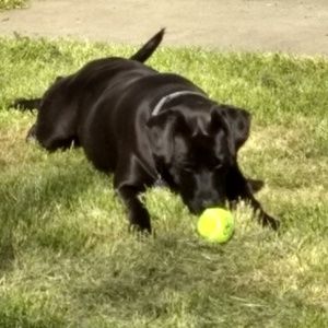 Meet your Posher, William